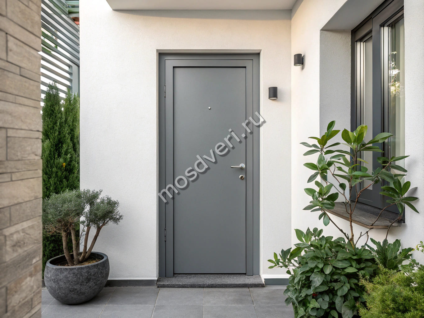 ����� ������� ����� � �������������